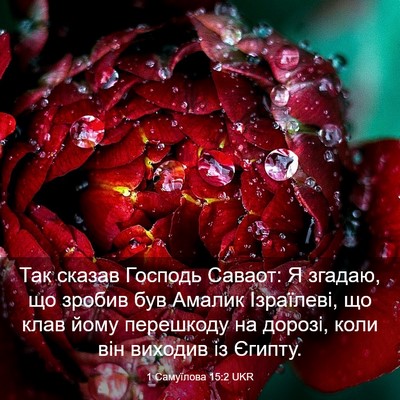 Picture 03 - 1 Самуїлова 15:2 UKR - Так сказав Господь Саваот: - Bible Verse Picture