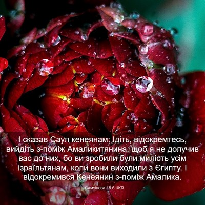 Picture 03 - 1 Самуїлова 15:6 UKR - І сказав Саул кенеянам: - Bible Verse Picture