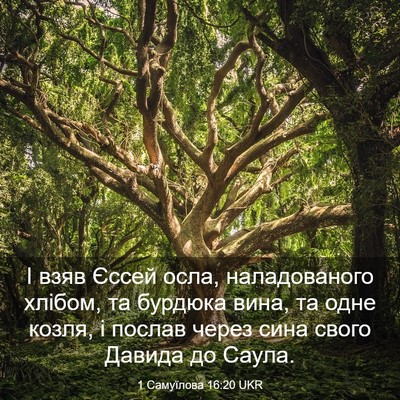 Picture 03 - 1 Самуїлова 16:20 UKR - І взяв Єссей осла, - Bible Verse Picture