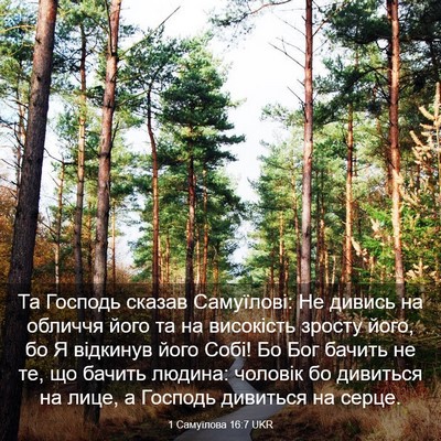Picture 03 - 1 Самуїлова 16:7 UKR - Та Господь сказав - Bible Verse Picture