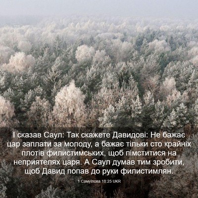 Picture 03 - 1 Самуїлова 18:25 UKR - І сказав Саул: Так скажете - Bible Verse Picture