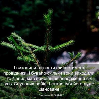 Picture 03 - 1 Самуїлова 18:30 UKR - І виходили воювати - Bible Verse Picture