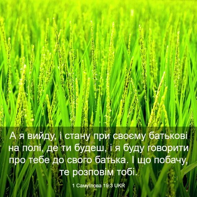 Picture 03 - 1 Самуїлова 19:3 UKR - А я вийду, і стану при - Bible Verse Picture