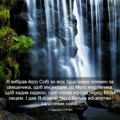 Picture 03 - 1 Самуїлова 2:28 UKR - Я вибрав його Собі зо всіх - Bible Verse Picture