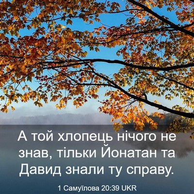 Picture 03 - 1 Самуїлова 20:39 UKR - А той хлопець нічого не - Bible Verse Picture