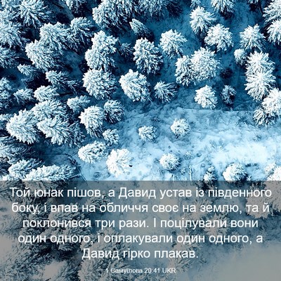 Picture 03 - 1 Самуїлова 20:41 UKR - Той юнак пішов, а Давид - Bible Verse Picture