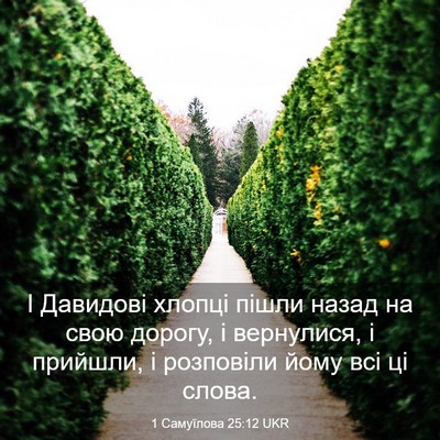 Picture 03 - 1 Самуїлова 25:12 UKR - І Давидові хлопці пішли - Bible Verse Picture