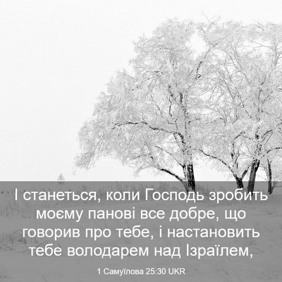 Picture 03 - 1 Самуїлова 25:30 UKR - І станеться, коли Господь - Bible Verse Picture