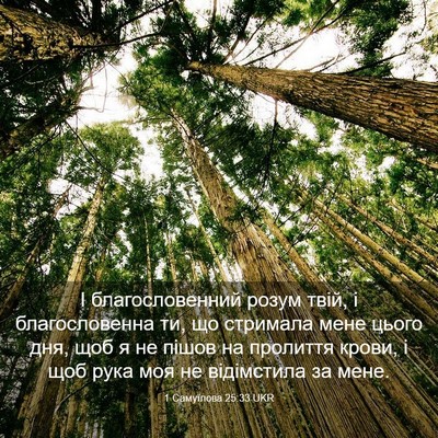 Picture 03 - 1 Самуїлова 25:33 UKR - І благословенний розум - Bible Verse Picture