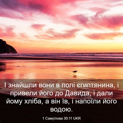 Picture 03 - 1 Самуїлова 30:11 UKR - І знайшли вони в полі - Bible Verse Picture