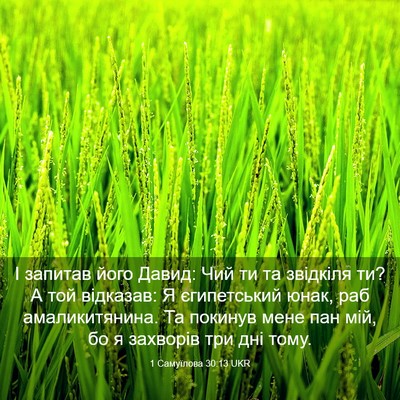 Picture 03 - 1 Самуїлова 30:13 UKR - І запитав його Давид: Чий - Bible Verse Picture