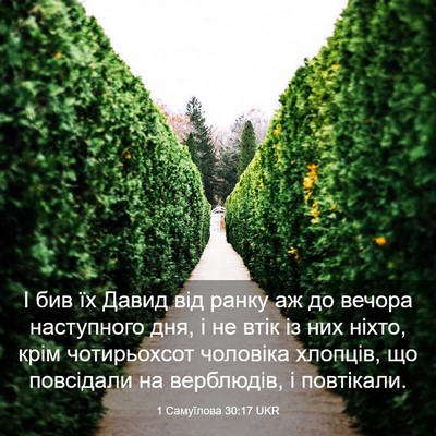 Picture 03 - 1 Самуїлова 30:17 UKR - І бив їх Давид від ранку аж - Bible Verse Picture
