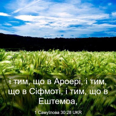 Picture 03 - 1 Самуїлова 30:28 UKR - і тим, що в Ароері, і тим, що - Bible Verse Picture