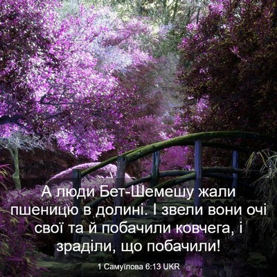 Picture 03 - 1 Самуїлова 6:13 UKR - А люди Бет-Шемешу жали - Bible Verse Picture
