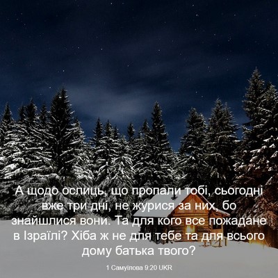 Picture 03 - 1 Самуїлова 9:20 UKR - А щодо ослиць, що пропали - Bible Verse Picture