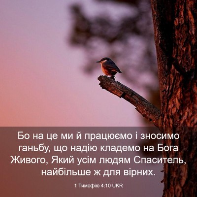 Picture 03 - 1 Тимофію 4:10 UKR - Бо на це ми й працюємо і - Bible Verse Picture