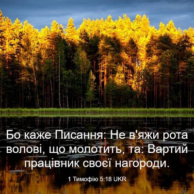 Picture 03 - 1 Тимофію 5:18 UKR - Бо каже Писання: Не в'яжи - Bible Verse Picture