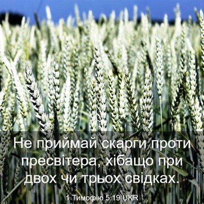 Picture 03 - 1 Тимофію 5:19 UKR - Не приймай скарги проти - Bible Verse Picture