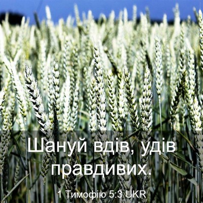 Picture 03 - 1 Тимофію 5:3 UKR - Шануй вдів, удів - Bible Verse Picture