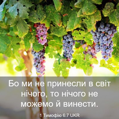 Picture 03 - 1 Тимофію 6:7 UKR - Бо ми не принесли в світ - Bible Verse Picture