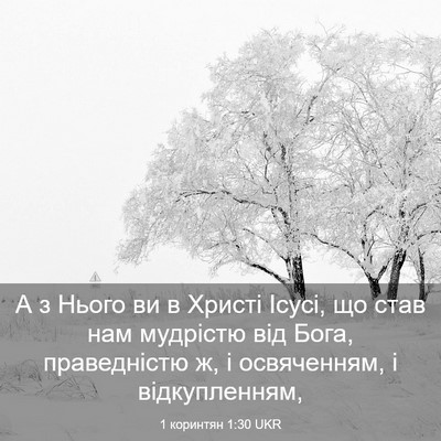 Picture 03 - 1 коринтян 1:30 UKR - А з Нього ви в Христі Ісусі, - Bible Verse Picture