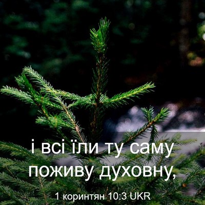 Picture 03 - 1 коринтян 10:3 UKR - і всі їли ту саму поживу - Bible Verse Picture