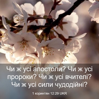 Picture 03 - 1 коринтян 12:29 UKR - Чи ж усі апостоли? Чи ж усі - Bible Verse Picture
