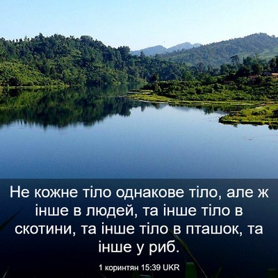 Picture 03 - 1 коринтян 15:39 UKR - Не кожне тіло однакове - Bible Verse Picture