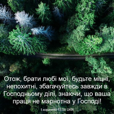 Picture 03 - 1 коринтян 15:58 UKR - Отож, брати любі мої, - Bible Verse Picture