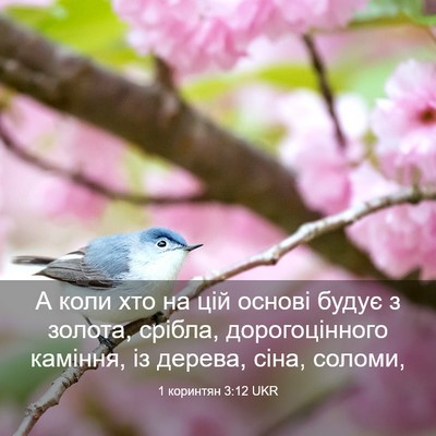 Picture 03 - 1 коринтян 3:12 UKR - А коли хто на цій основі - Bible Verse Picture
