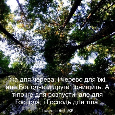 Picture 03 - 1 коринтян 6:13 UKR - Їжа для черева, і черево - Bible Verse Picture