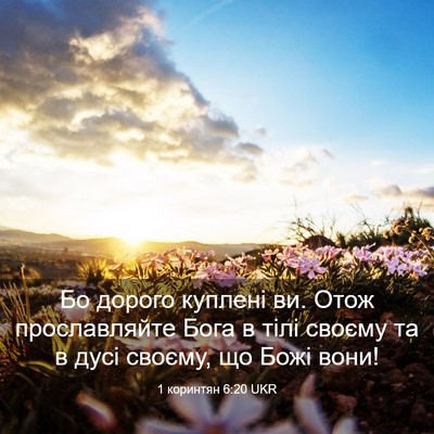 Picture 03 - 1 коринтян 6:20 UKR - Бо дорого куплені ви. Отож - Bible Verse Picture