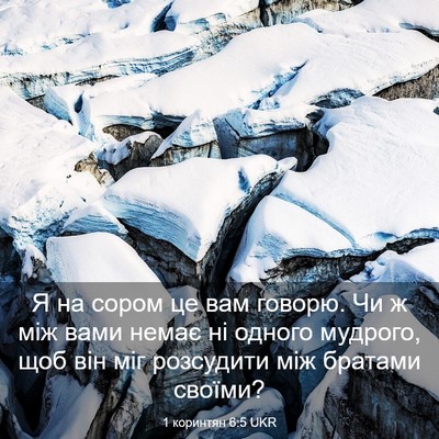 Picture 03 - 1 коринтян 6:5 UKR - Я на сором це вам говорю. Чи - Bible Verse Picture