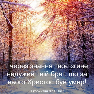 Picture 03 - 1 коринтян 8:11 UKR - І через знання твоє згине - Bible Verse Picture
