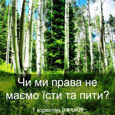 Picture 03 - 1 коринтян 9:4 UKR - Чи ми права не маємо їсти - Bible Verse Picture