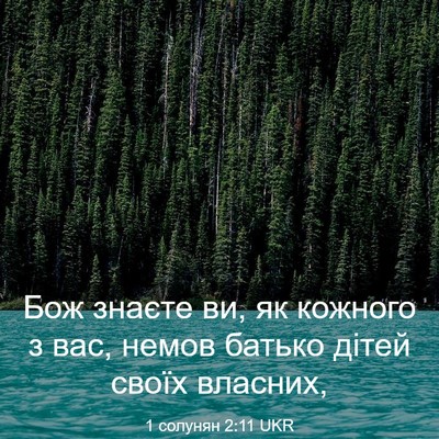 Picture 03 - 1 солунян 2:11 UKR - Бож знаєте ви, як кожного з - Bible Verse Picture
