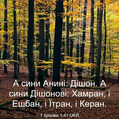 Picture 03 - 1 хроніки 1:41 UKR - А сини Анині: Дішон. А сини - Bible Verse Picture