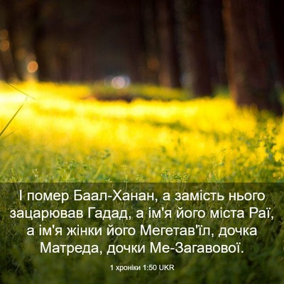 Picture 03 - 1 хроніки 1:50 UKR - І помер Баал-Ханан, а - Bible Verse Picture