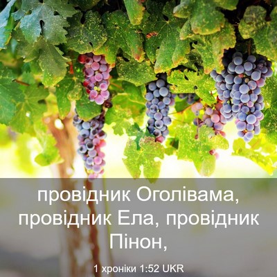 Picture 03 - 1 хроніки 1:52 UKR - провідник Оголівама, - Bible Verse Picture