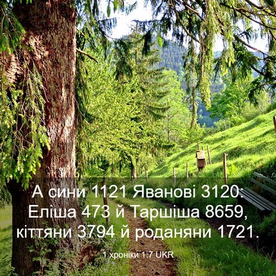 Picture 03 - 1 хроніки 1:7 UKR - А сини 1121 Яванові 3120: Еліша - Bible Verse Picture