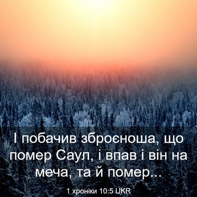 Picture 03 - 1 хроніки 10:5 UKR - І побачив зброєноша, що - Bible Verse Picture