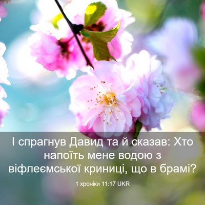 Picture 03 - 1 хроніки 11:17 UKR - І спрагнув Давид та й - Bible Verse Picture