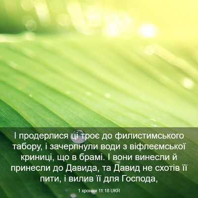 Picture 03 - 1 хроніки 11:18 UKR - І продерлися ці троє до - Bible Verse Picture