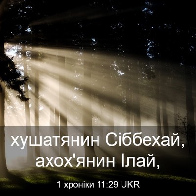 Picture 03 - 1 хроніки 11:29 UKR - хушатянин Сіббехай, - Bible Verse Picture