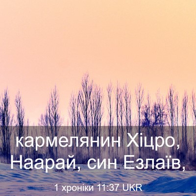 Picture 03 - 1 хроніки 11:37 UKR - кармелянин Хіцро, Наарай, - Bible Verse Picture