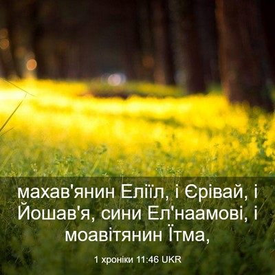 Picture 03 - 1 хроніки 11:46 UKR - махав'янин Еліїл, і Єрівай, - Bible Verse Picture