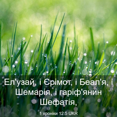 Picture 03 - 1 хроніки 12:5 UKR - Ел'узай, і Єрімот, і Беал'я, - Bible Verse Picture