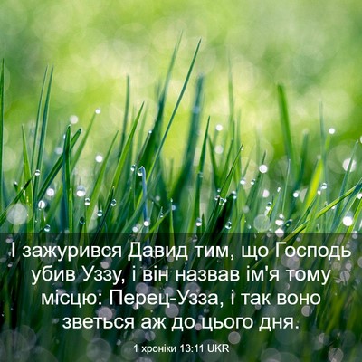 Picture 03 - 1 хроніки 13:11 UKR - І зажурився Давид тим, що - Bible Verse Picture