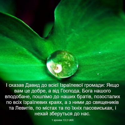 Picture 03 - 1 хроніки 13:2 UKR - І сказав Давид до всієї - Bible Verse Picture