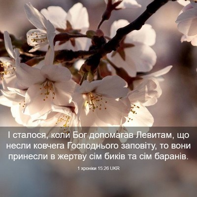Picture 03 - 1 хроніки 15:26 UKR - І сталося, коли Бог - Bible Verse Picture